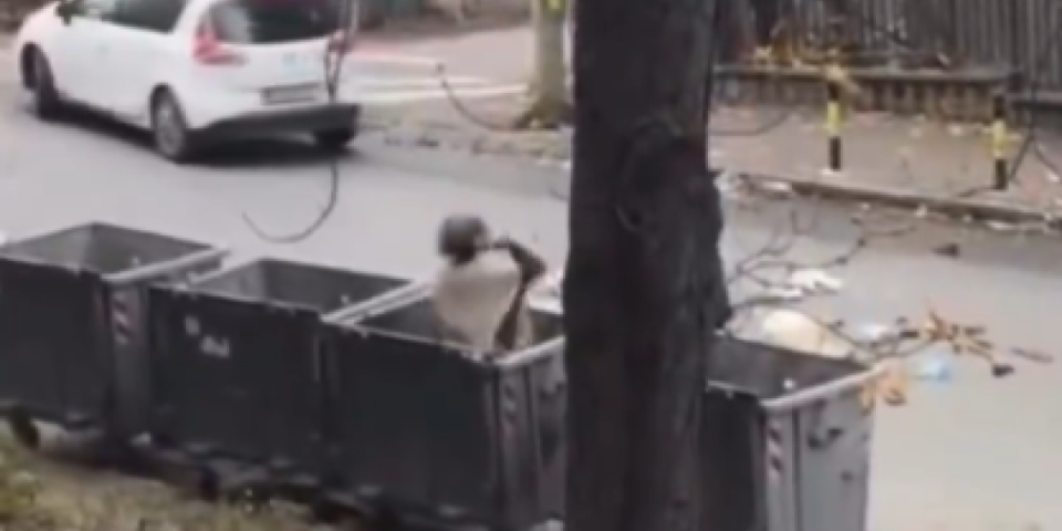 Urnebesno: Branko Babić još jednom urnisao blokadere - objavio šok-snimak (VIDEO)