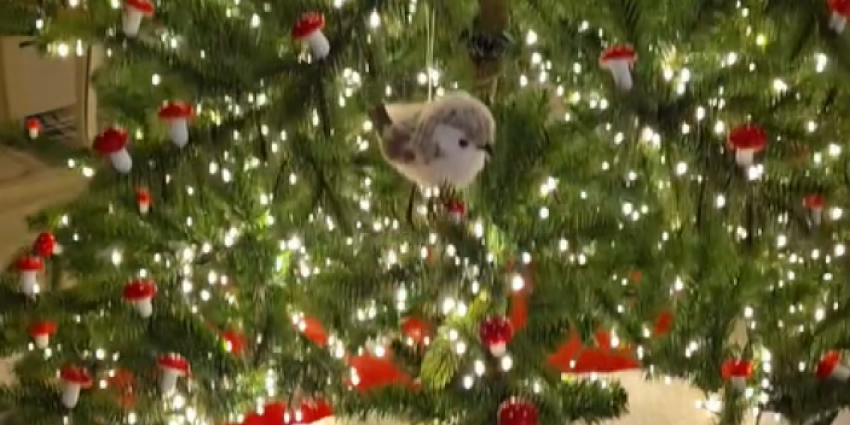 Novogodišnja dekoracija Lidije Vukićević