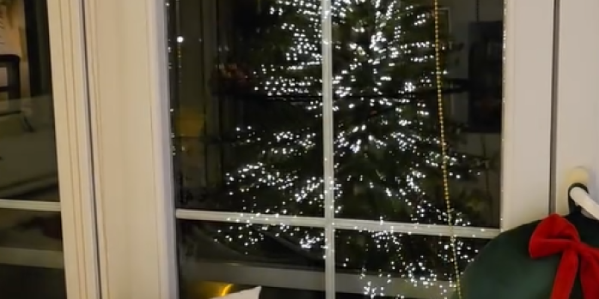 Novogodišnja dekoracija Lidije Vukićević