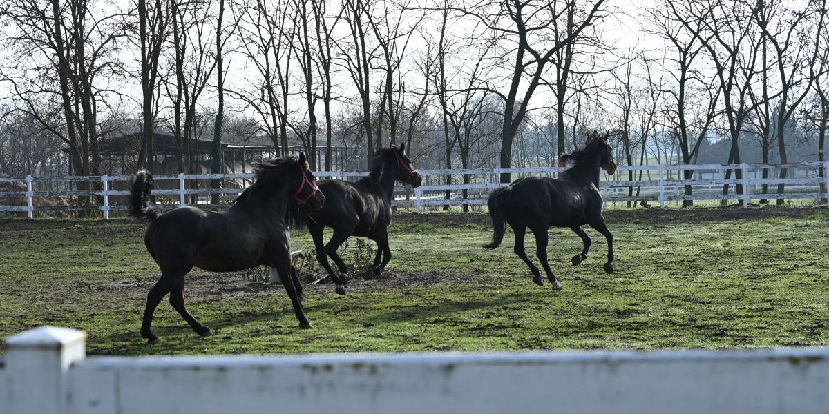 Na snimanju serije "Kazna za greh"
