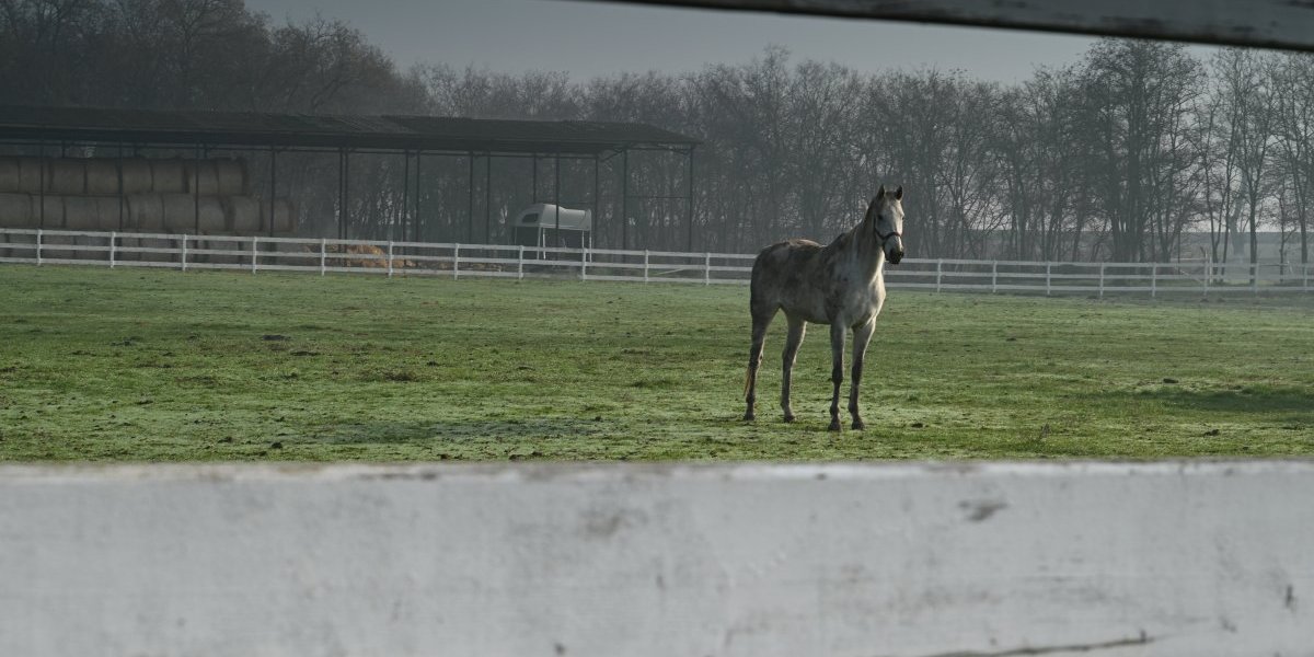 Na snimanju serije "Kazna za greh"