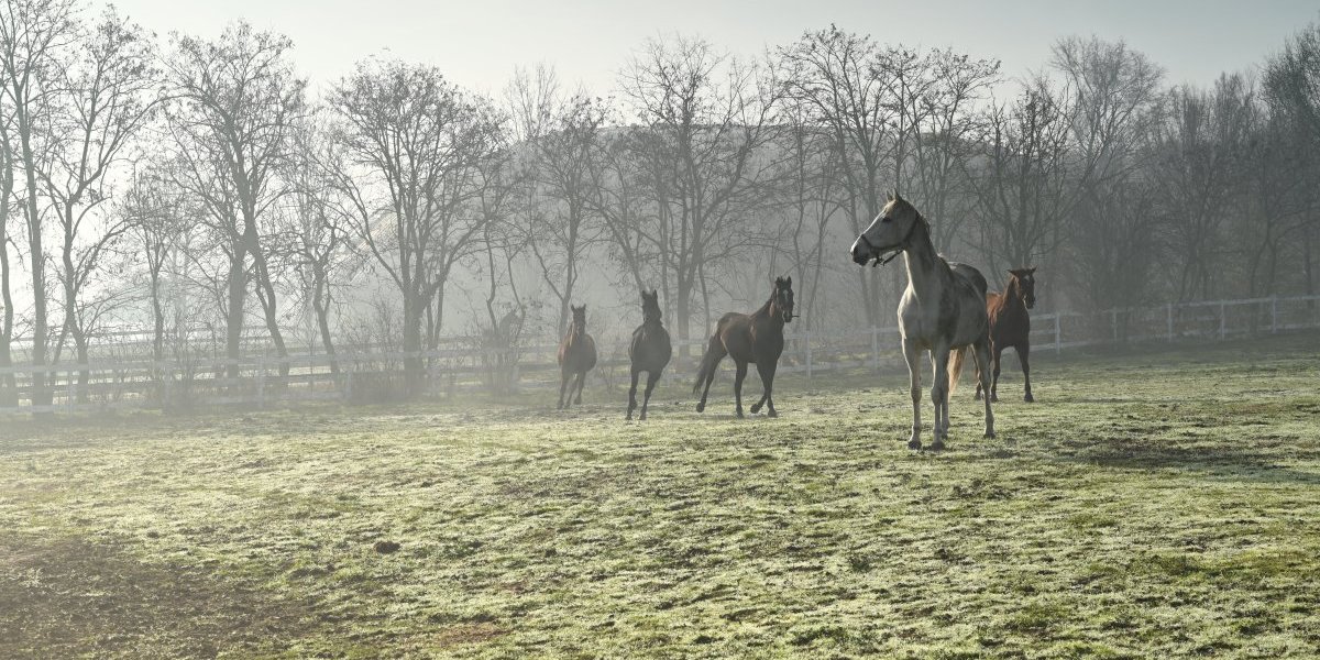 Na snimanju serije "Kazna za greh"