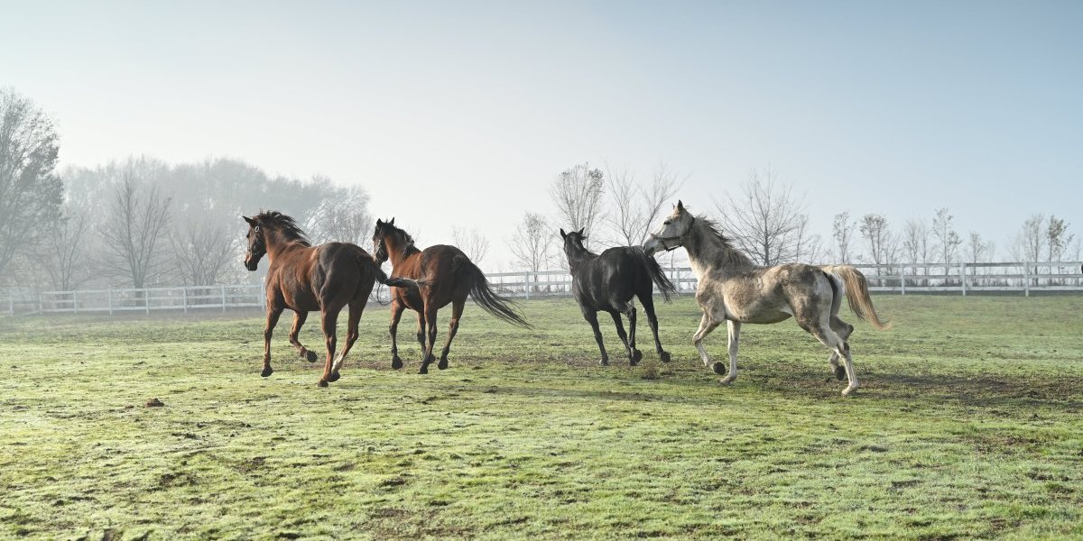 Na snimanju serije "Kazna za greh"