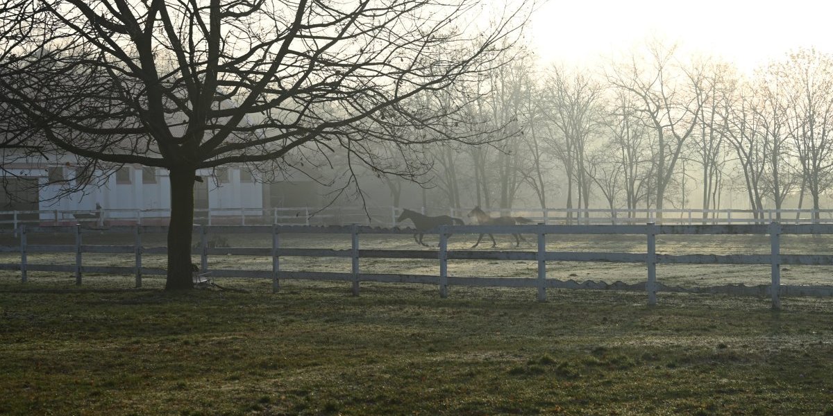 Na snimanju serije "Kazna za greh"