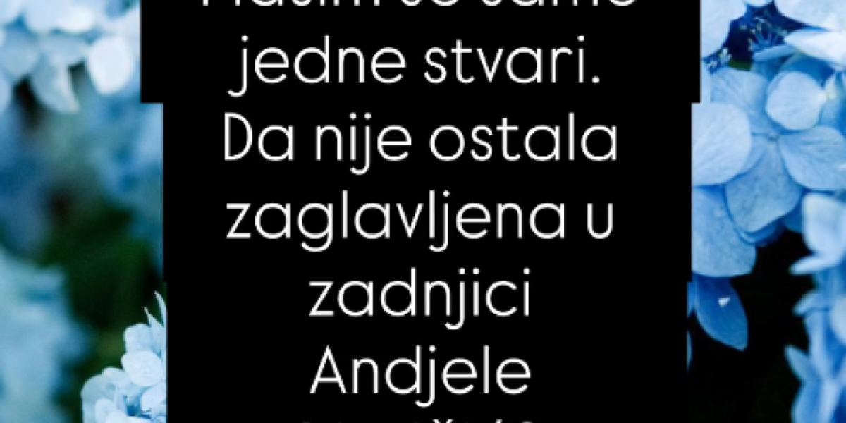 Poruke Ivane Šopić upućene Jeleni Ilić