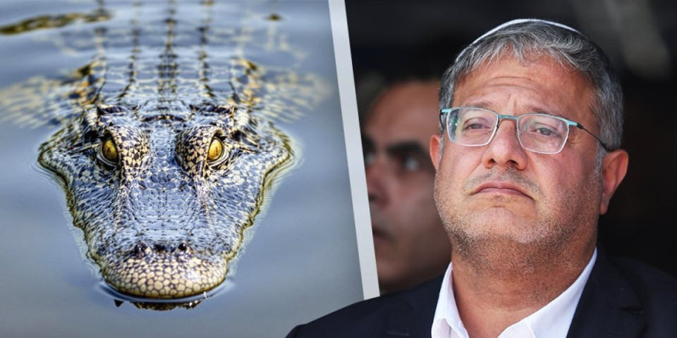 Ovo je presedan: Niko nikad nije predložio ovako nešto - Bio jednom jedan ministar koji je voleo krokodile... Sraman predlog potresao region