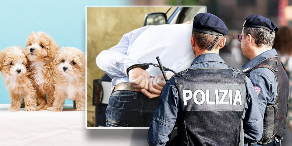 Uhapšen Srbin u Italiji: Švercovao živa bića, po ovoj šemi je radio