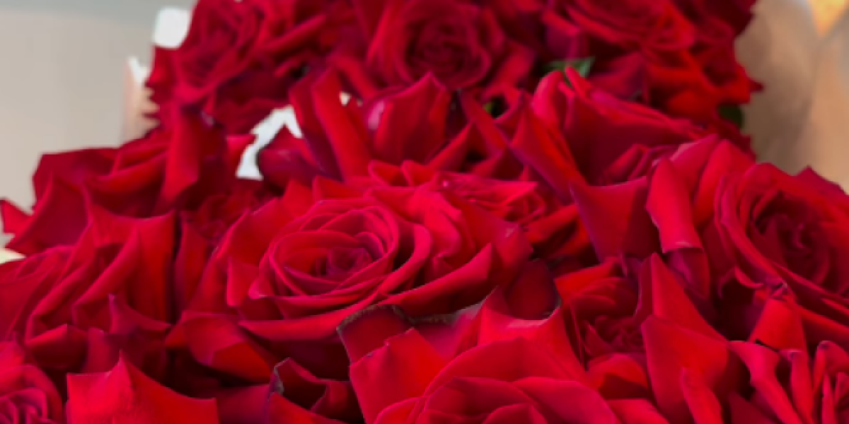 Dobila buket crvenh ruža