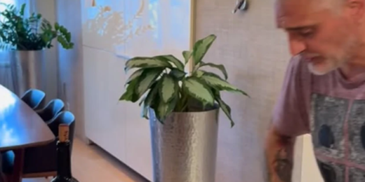 Stan Čede Jovanovića