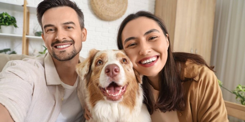 Najpopularnije rase pasa u 2025: Nežne naravi, obožavaju decu i beskrajno odani (FOTO)