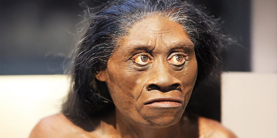 Utvrđeno zašto su izumrli hobiti: Šokiraće vas razlog