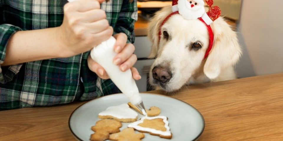 Božićna gozba za pse: Šta vaš ljubimac sme, a šta nikako ne sme da jede