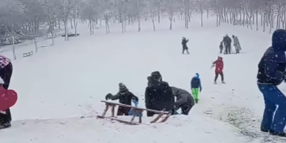 Hej, haj baš nas briga: Ovde nikad veće radosti (VIDEO)