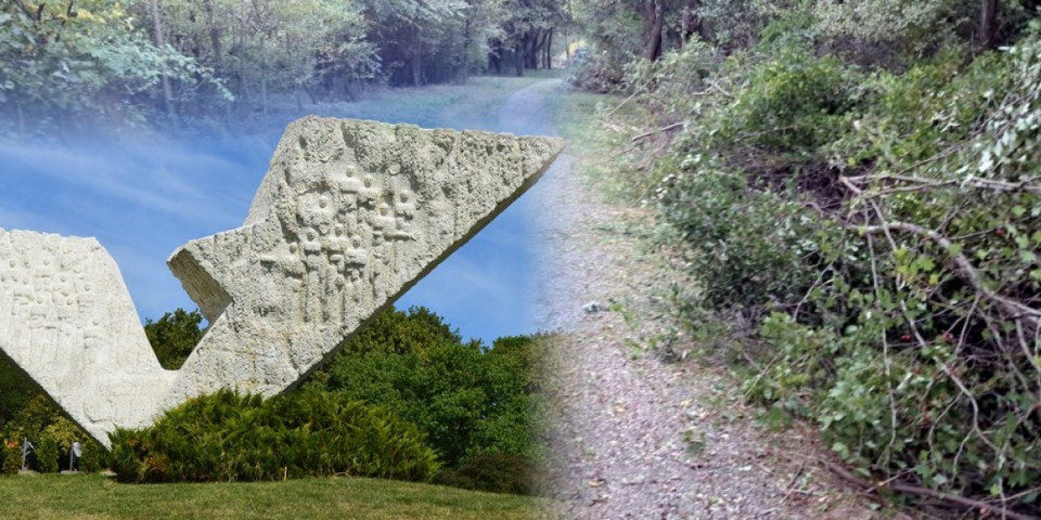 Ovde nikako ne secite badnjak: Kragujevčanima stiglo upozorenje