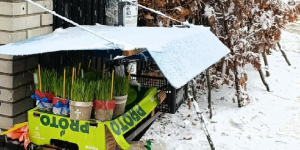 Priča iz Valjeva: Ovaj dečak raste u dobrog čoveka