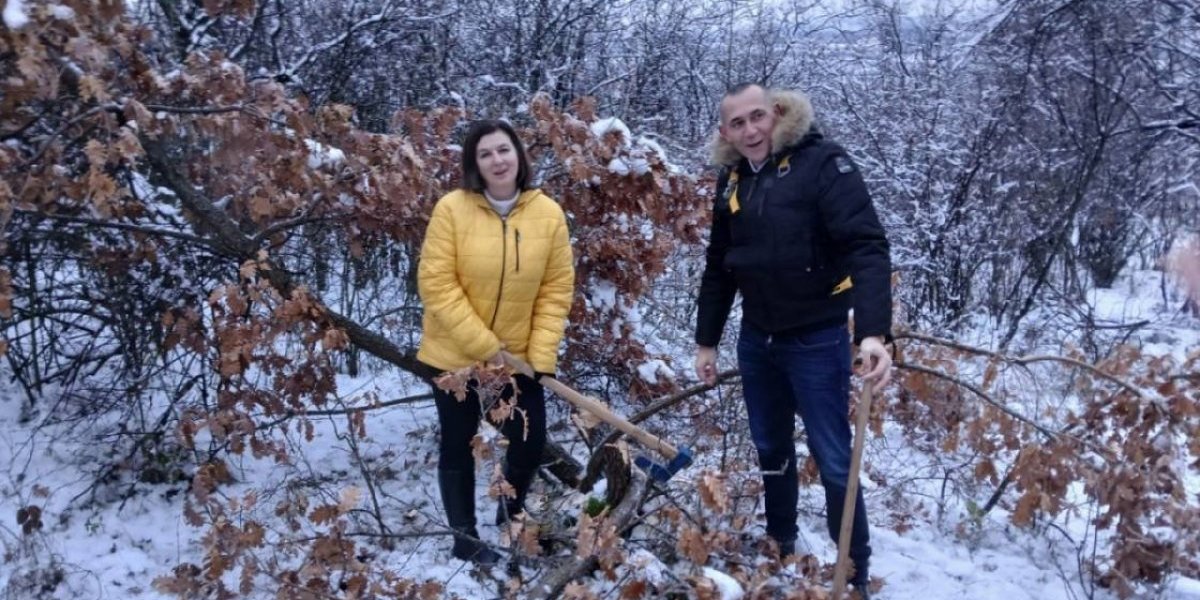 Seča u Kraljevoj šumi je dozvoljena samo na Badnji dan