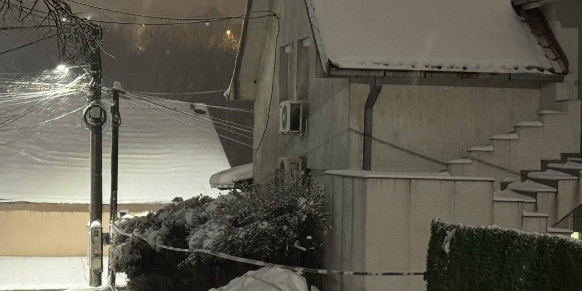 Unuk upucao babu i dedu u porodičnoj kući