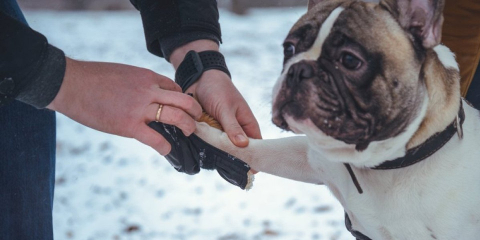 Jedan potez pre izlaska napolje sprečava pucanje i rane na šapama važeg psa - odmah testirajte