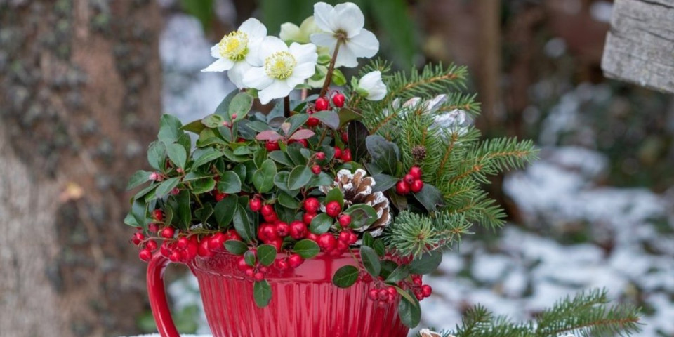 Posadite ovo cveće pre Svetog Jovana i vaša terasa će biti raj boja pre proleća!