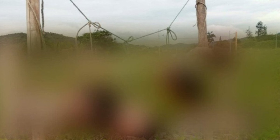 (UZNEMIRUJUĆA FOTOGRAFIJA) Pet odsečenih glava nađeno na popularnoj plaži! Na snazi je vandredno stanje: Jeziva stvar nađena na mestu zločina