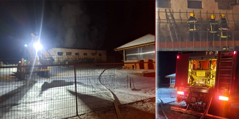 Veliki požar kod Majdanpeka: Izgoreo privatni objekat na plantaži borovnice (FOTO/VIDEO)