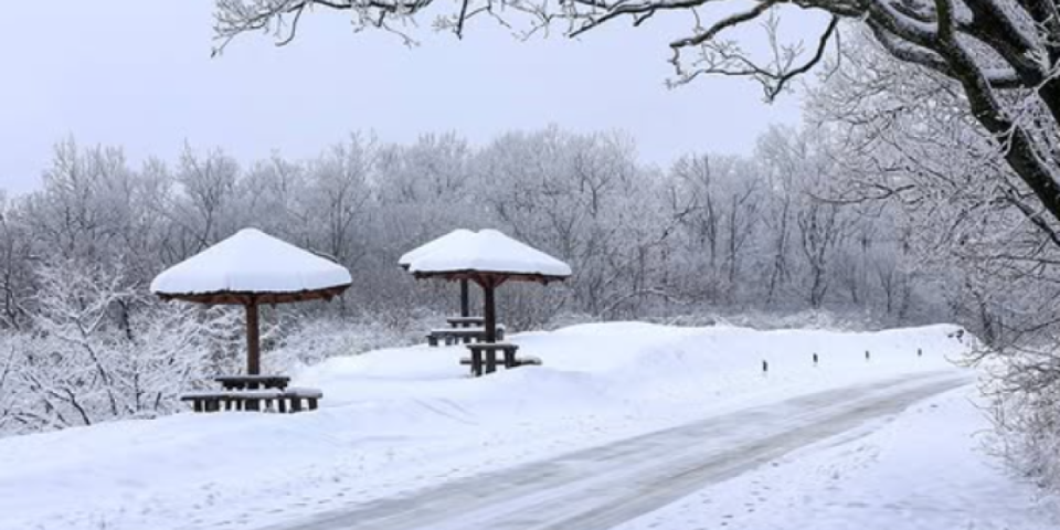 Za samo 300 dinara, ceo dan uživanja: Ovoga nije bilo ranije na Fruškoj gori