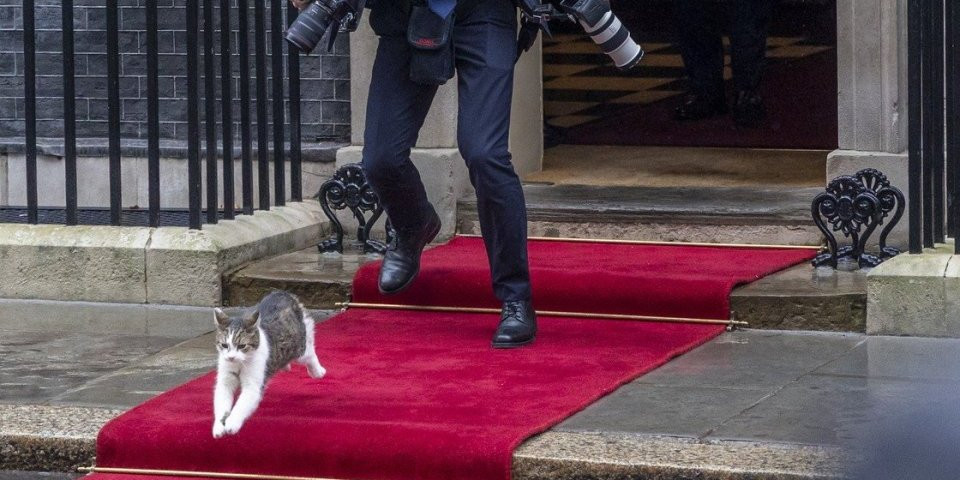 (FOTO/VIDEO) U Londonu za malo karambol: Predsednik Poljske došao u bitnu posetu - A onda je izletela mačka...