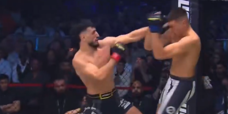 Brutalno, Srbin dobio batine: Nemac isprebijao Končara, umalo mu slomio ruku (VIDEO)