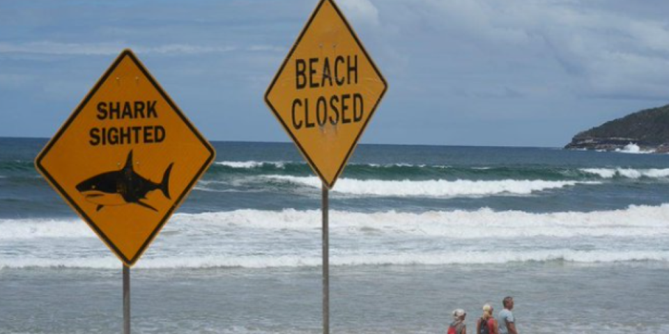 "Ovo nije normalno": Četvrti napad ajkule u samo 48 sati! Turisti u panici - plaže hitno zatvorene (FOTO)