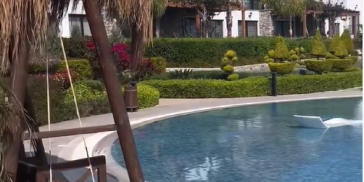 Nekretnina Aleksandra Kosa