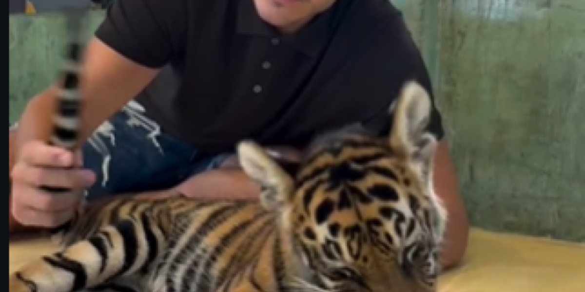 Viktor Živojinović sa tigrom