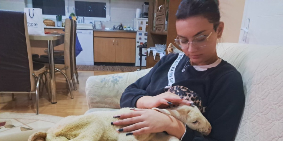 Čudna sudbina malog Živote: Jedva izvukao živu glavu, a sad...