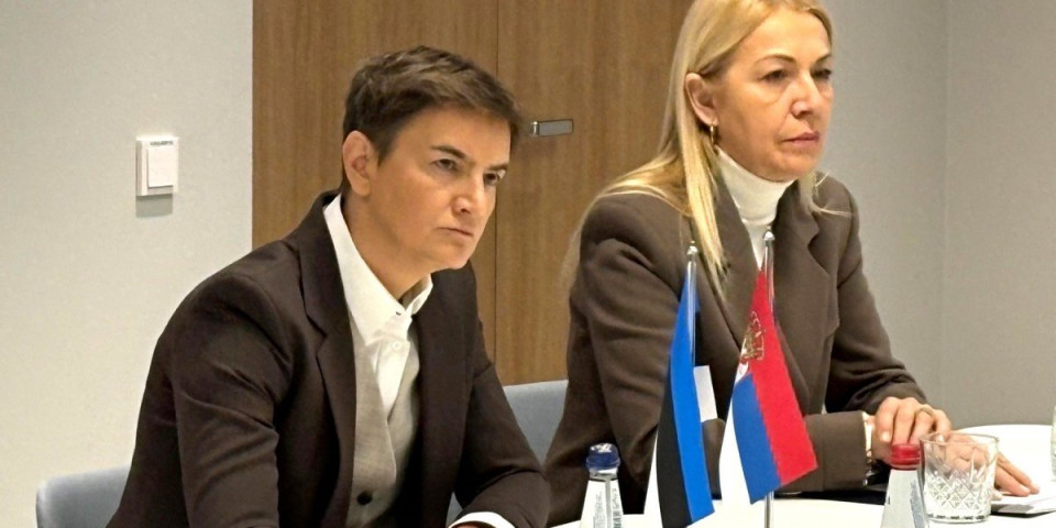 Brnabić bacila Ponoša pod moralni mikroskop: Evo zašto je zlurad propali predsednički kandidat