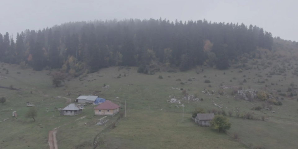 Jezivo: Za ovu šumu kažu da je ukleta, pa niko ni grančicu ne sme da uzme