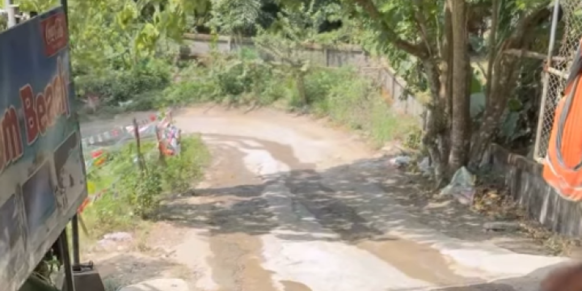 Nataša Bekvalac na Tajlandu