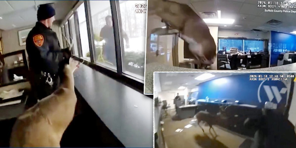 Drama u banci: Prijavljena pljačka, a policija zatekla prizor za nevericu (VIDEO)