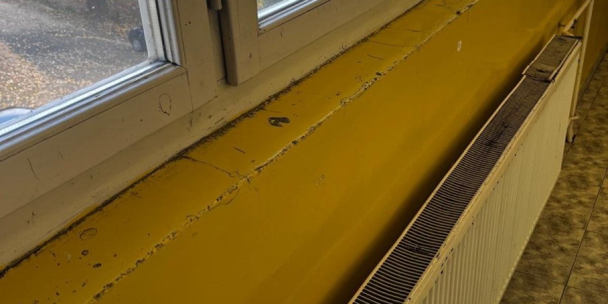 O. Š. "Dobrica Ćosić" pre rekonstrukcije