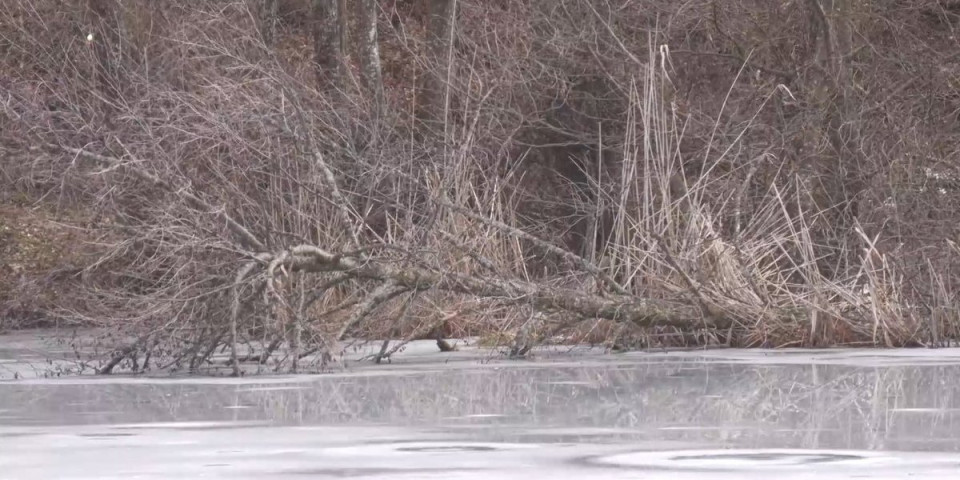 Ovo nije Rusija: Zbog prizora iz centralne Srbije u šoku i naučnici i meštani