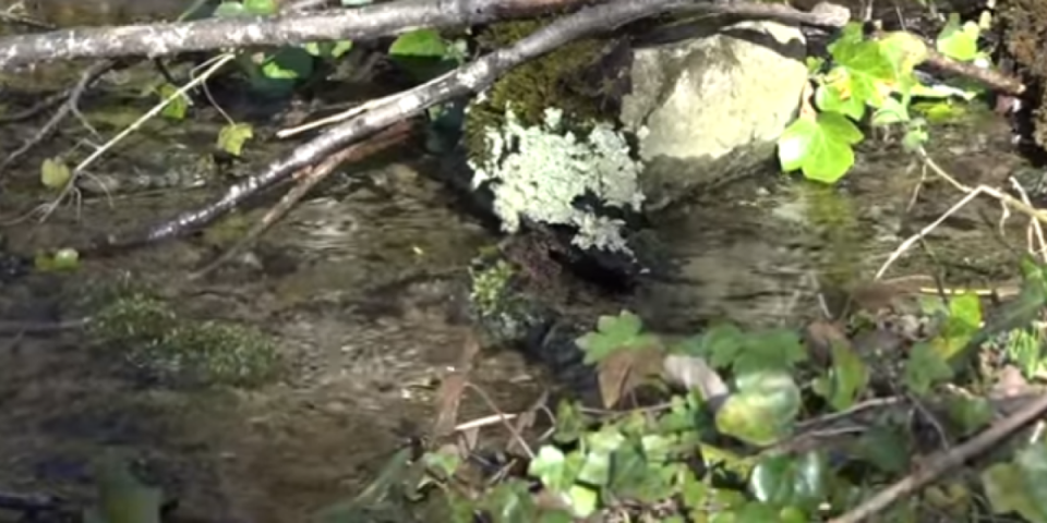 Neverovatna priča iz Pranjana: Od jedan posle ponoći do pola tri ujutru, kažu, dešava se čudna stvar