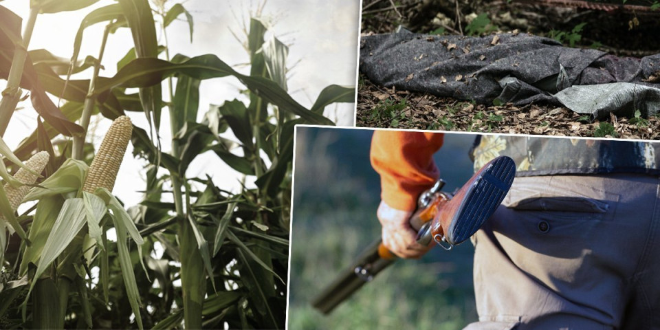 Veštačenje razotkrilo krvavi trag: Novi detalji ubistva kod Svrljiga