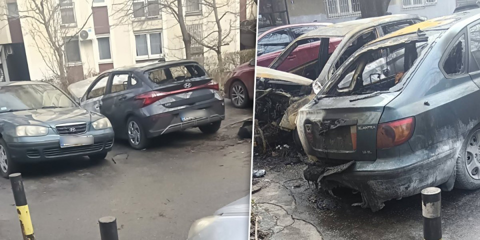 Buktinja ''progutala'' kola: Ostala samo olupina (FOTO)