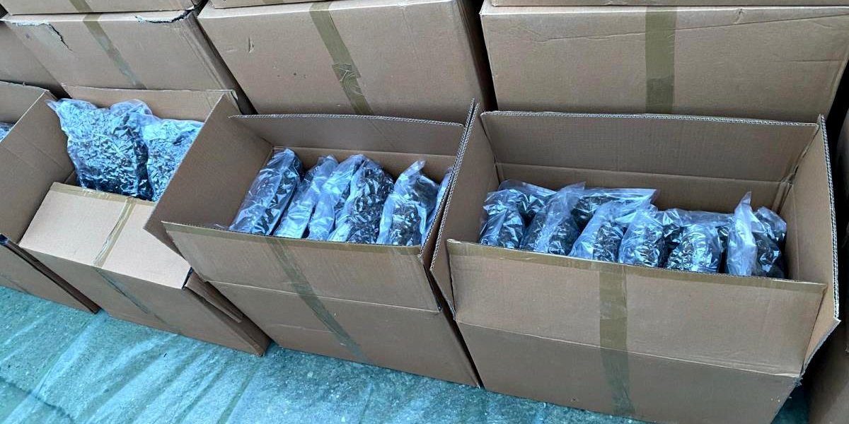 Zaplena marihuane u Kruševcu