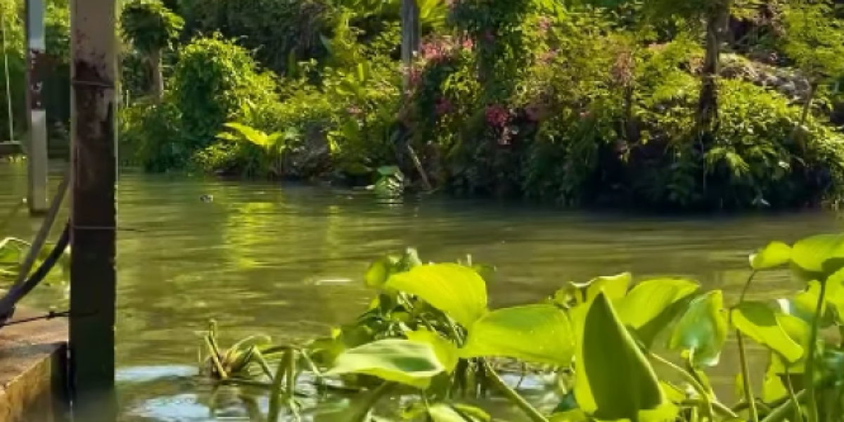 Darko Filipović u Tajlandu