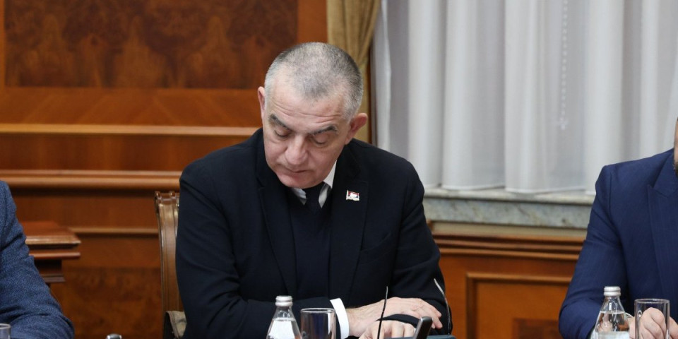 Brzo se iscrpljuje, odgovara sa "da" i "ne": Ministar Vujić posetio Mladića - "Mehanizam je dozvolio da..."