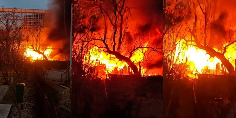 Plamena stihija guta barake u Kaluđerici: Vatrogasci se bore sa požarom (VIDEO)