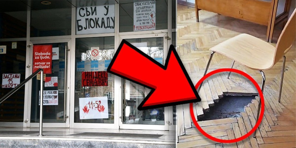 "Neko će da pogine na FPN-u": Evo u kakvo stanje je dekanka Maja Kovačević dovela obrazovnu ustanovu