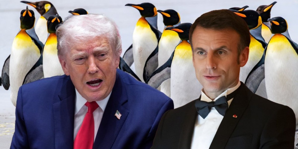 Rat pingvinima se nastavlja: Evropa uzvratila Trampu, pa pomenuli i član 5 NATO! (VIDEO)