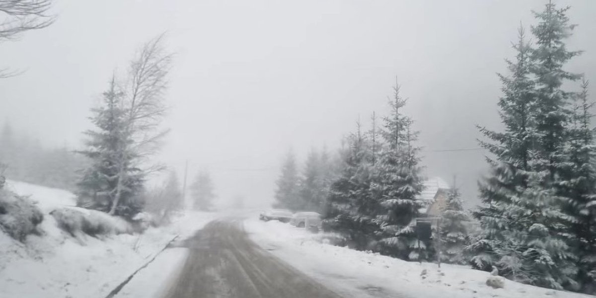 Put ka Mitrovcu na Tari