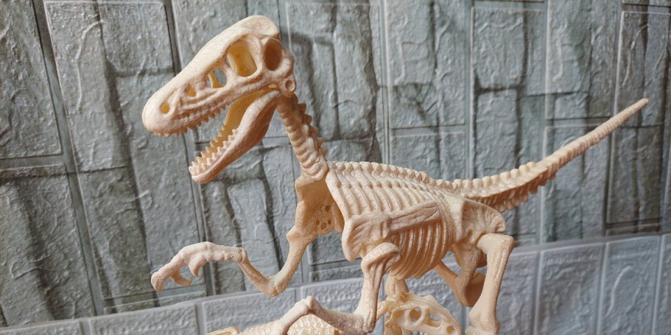 Džinovske kandže i više od 70 zuba: Pronađen neobični dinosaurus koji je ličio na pernatog medveda