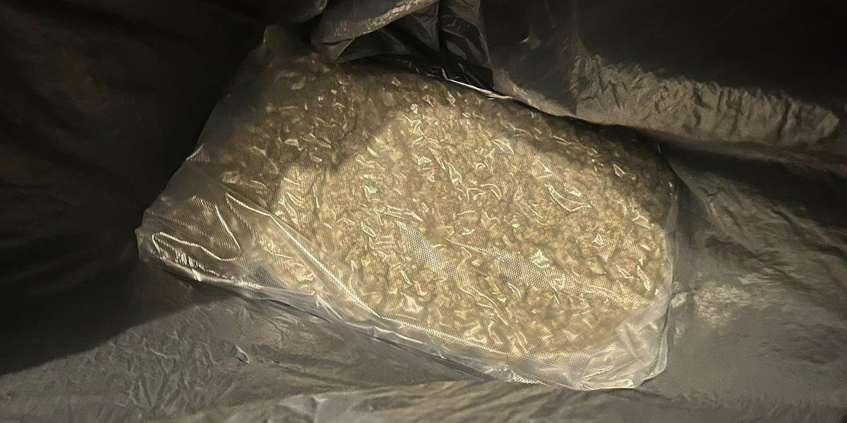 Zaplenjena droga u Nišu